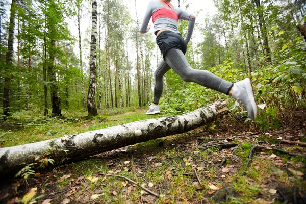 穿着腿 运动鞋和套头毛衣的年轻活跃妇女在森林里训练时在桦木上跑步 — 图库照片