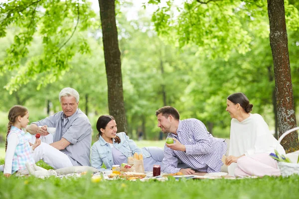 Adorable Chica Sus Padres Abuelos Sentados Hierba Hablando Relajándose Picnic —  Fotos de Stock