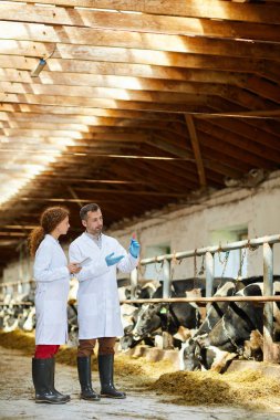Kettlefarm toplantı sırasında yeni aşı ve virüsü tartışıyor whitecoats iki çağdaş çiftçiler
