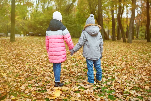 黄色い紅葉で覆われた地面を下に移動する暖かいカジュアルウェアを着た2人の子供のバックビュー — ストック写真