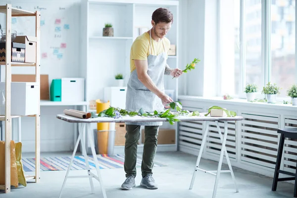 Young Man Apron Casualwear Standing Desk Flowers Leaves Making Bunch — Stock Photo, Image