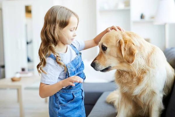 Hübsches Kleines Mädchen Freizeitkleidung Kuschelt Ihr Süßes Haustier Während Vor — Stockfoto