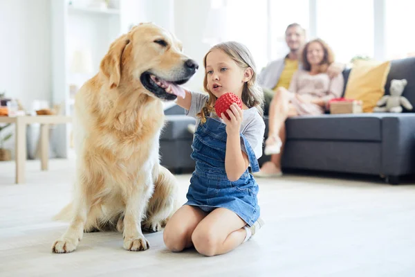 Adorable Little Girl Holding Red Toy While Playing Her Fluffy — Stock Photo, Image