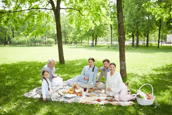 Grande Família Feliz Sentado Gramado Verde Parque Desfrutar Seu Piquenique — Fotografia de Stock