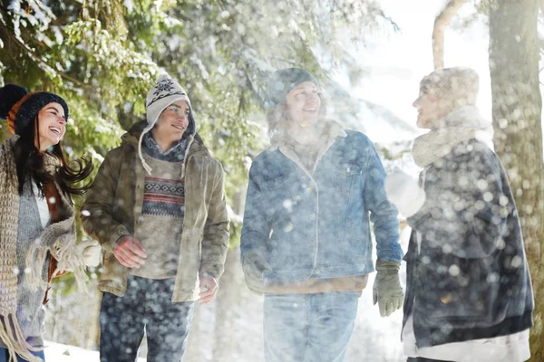 Grupo Jóvenes Felices Disfrutando Caminar Hermoso Bosque Invierno Bajo Las —  Fotos de Stock