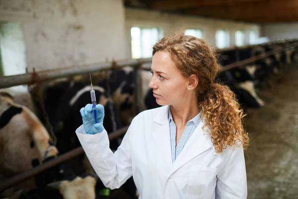 Junge Tierärztin Uniform Bereitet Spritze Mit Spritze Für Eine Der — Stockfoto