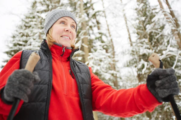 Femme Active Avec Des Bâtons Déplaçant Dans Forêt Hiver Par — Photo