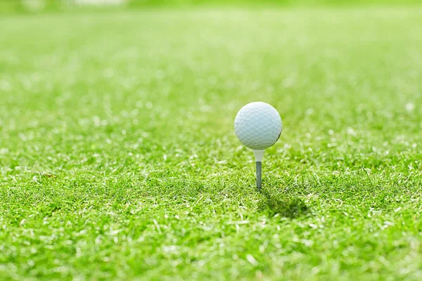 Bola Golfe Tee Meio Campo Jogo Verde Fim Semana Ensolarado — Fotografia de Stock