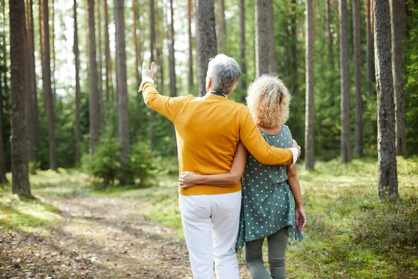 Senior Man Wijst Vooruit Tijdens Het Nemen Van Lopen Met — Stockfoto