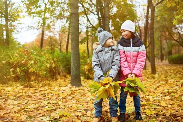 Веселые Юноши Желтыми Листьями Смотрят Друг Друга Осеннем Парке Октябрьский — стоковое фото