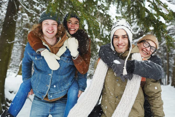 Portret Van Twee Gelukkige Jonge Koppels Die Plezier Hebben Winter — Stockfoto