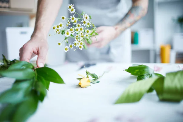 Чоловічий Флорист Тримає Купу Ромашок Приймаючи Зелений Лист Квіткової Композиції — стокове фото