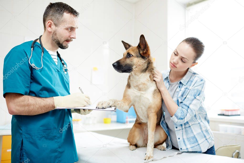 Cute dog keeping one paw on medical document while veterinarian making notes