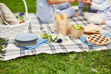 Tabak yığını, kır çiçekleri demet, kiraz pasta, taze ve gevrek ekmek, elma ve busket aile piknik zevk arka planda çim üzerinde masa örtüsü üzerinde hükümler ile
