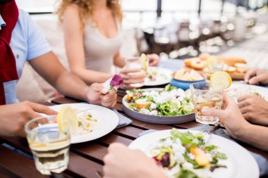 Vejetaryen salata, ev yapımı limonata ve taze meyvelerden oluşan gençlerin öğle yemeği