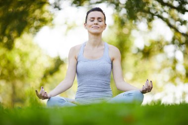 İçerik huzurlu çekici genç kadın lotus pozisyonu çimenlerin üzerinde oturan ve mudra yaz bölümünde, o meditasyon zevk içinde el ele tutuşarak kapalı gözler