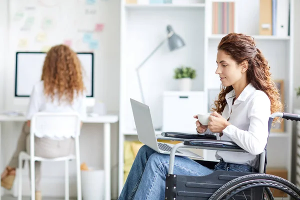 Mujer Atractiva Joven Silla Ruedas Tomando Leyendo Información Línea Portátil — Foto de Stock