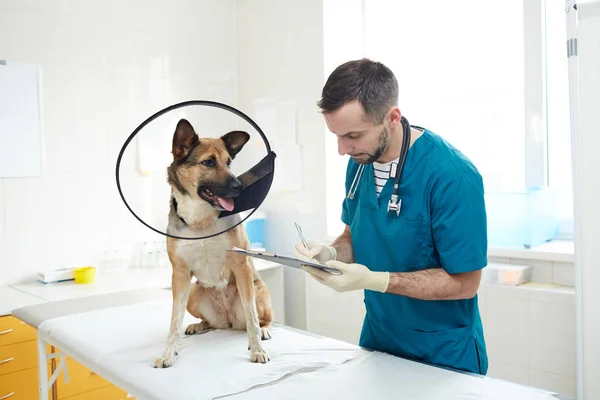 Giovane Veterinario Uniforme Prendere Appunti Medici Prescrizioni Cane Malato Dopo — Foto Stock