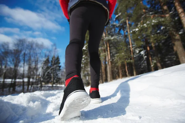 Piernas Deportista Leggins Negras Zapatos Cruzados Trotando Senda Nieve Bosque —  Fotos de Stock