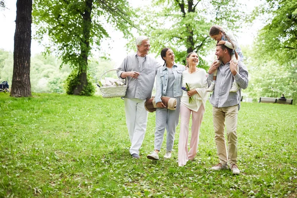 Radosna Rodzina Pięciu Rozmawiając Podczas Chodzenia Dół Zielonej Trawie Parku — Zdjęcie stockowe