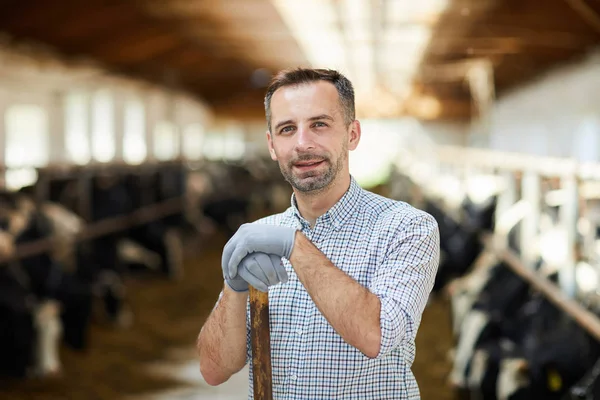 Jovem Trabalhador Luva Kettlefarm Olhando Para Você Enquanto Trabalhava Cowshed — Fotografia de Stock