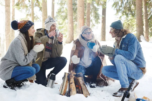冬の森でキャンプをする4人の若者の全長の肖像画は 丸い火の中に座って 熱いココアを飲みながらおしゃべり — ストック写真