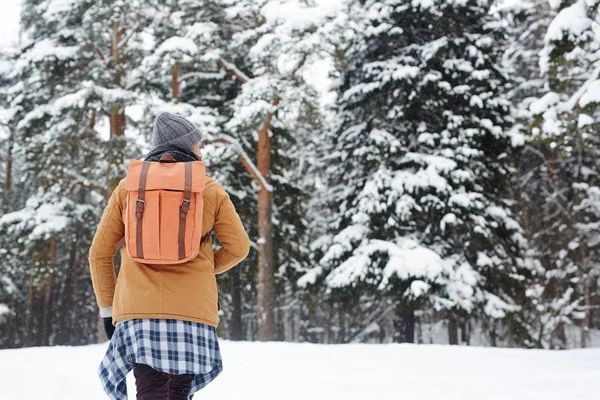 Bakifrån Hipster Ung Vandrare Med Ryggsäck Tittar Runt Och Går — Stockfoto