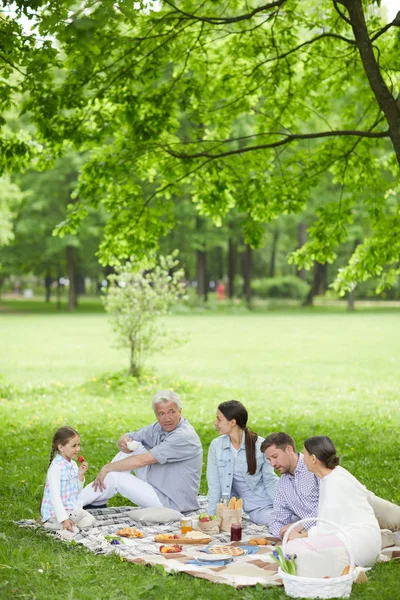 Familie Cinci Persoane Care Stau Peluza Verde Vorbesc Bucură Picnicul — Fotografie, imagine de stoc