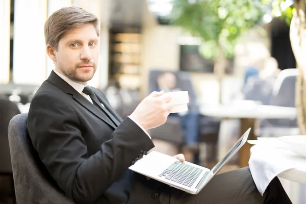 Young Businessman Laptop Cup Tea Spending Morning Cafe Looking Online — Stock Photo, Image