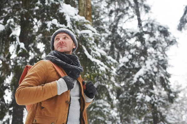 Atkı Şapka Sırt Çantası Kolları Tutan Kış Ormanda Kar Altında — Stok fotoğraf