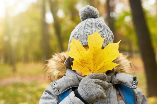 Studentessa Contemporanea Che Tiene Una Foglia Acero Gialla Davanti Viso — Foto Stock