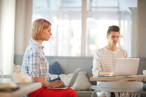 Femeie Tânără Serioasă Tastând Laptop Cafenea Precum Tip Masa Vecină — Fotografie, imagine de stoc