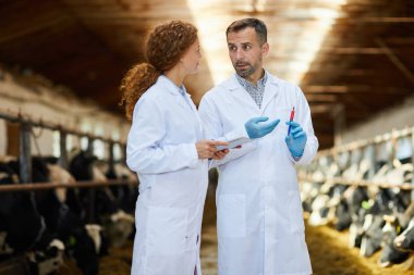 Çiftlikte çalışan laboratuvar önlükleri giyen iki veterinerin aşı çekimi yapan iki veterinerin portresi, kopya alanı