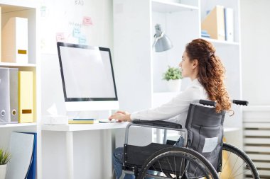 Çağdaş iş kadını bilgisayar önünde tekerlekli sandalyede oturan, yazma ve net tarama