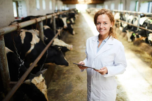 Retrato Veterinário Fêmea Alegre Sorrindo Olhando Para Câmera Usar Tablet — Fotografia de Stock