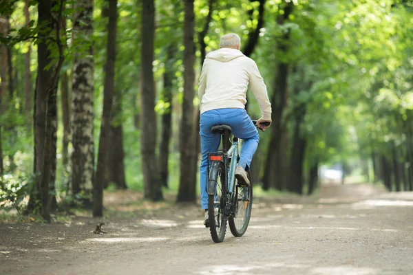 Vista Posteriore Dell Uomo Anziano Attivo Bicicletta Lungo Strada Forestale — Foto Stock