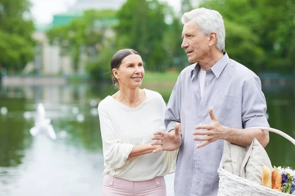 Aged Grey Haired Man His Wife Discussing Picnic Park — Stock Photo, Image