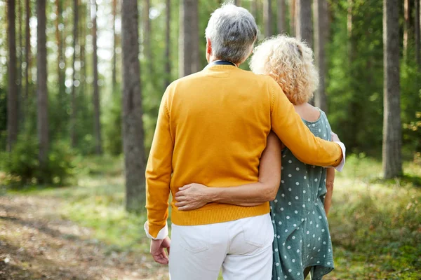 Back View Omfamna Seniorer Casualwear Kylning Ute Skogen Sommardagen — Stockfoto