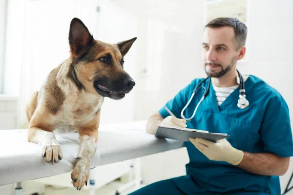 医療用テーブルの病気の犬と医療処方箋を作る制服の若い獣医 — ストック写真