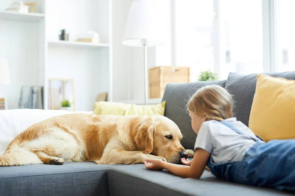 Niña Acostada Sofá Delante Mascota Tratando Jugar Con Perro — Foto de Stock