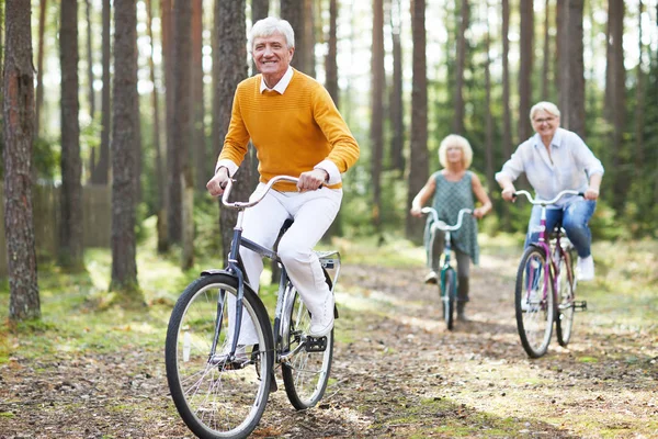 欢快的兴奋老年朋友在休闲服装享受活跃的生活骑自行车一起在森林中 他们赛车对方 — 图库照片
