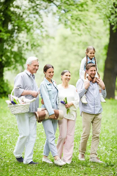 Beş Neşeli Aile Park Veya Ormanda Yeşil Glade Aşağı Hareket — Stok fotoğraf