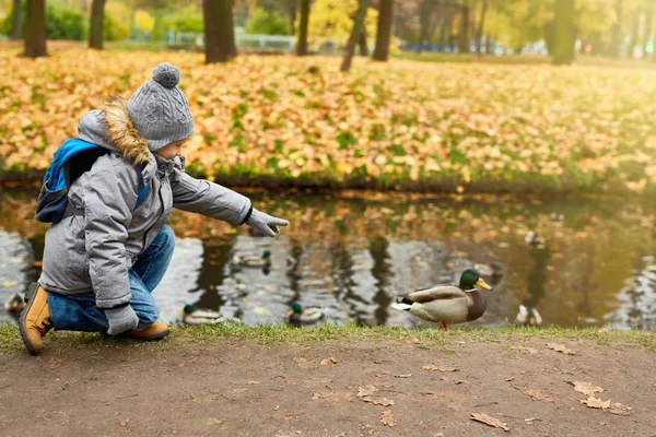 Schoolboy Med Ryggsäck Stående Vid Vattnet Och Pekar Änder Parken — Stockfoto