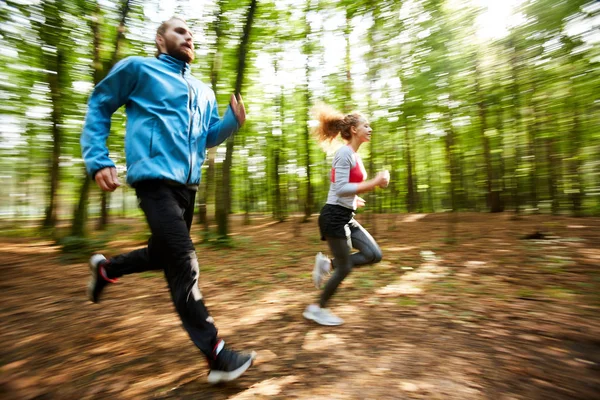 活跃运动员和女运动员在晨晨慢跑训练时沿着森林道路移动 — 图库照片