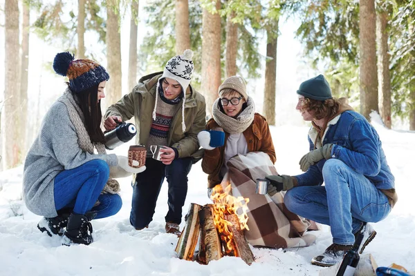 Full Längd Porträtt Fyra Unga Människor Camping Vinter Skog Sitter — Stockfoto