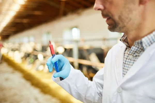 Jovem Agricultor Enluvado Veterinário Exploração Pecuária Preparando Injeção Para Vaca — Fotografia de Stock