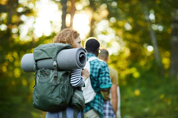 Vários Campistas Com Mochilas Que Vão Longo Caminho Floresta Enquanto — Fotografia de Stock