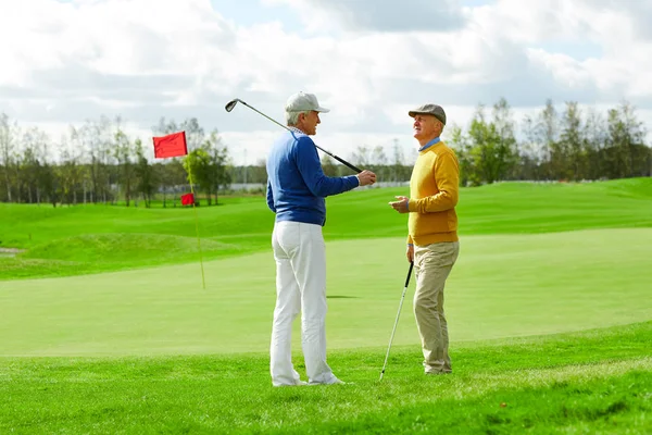 Two Mature Men Casualwear Discussing News Plans While Standing Green — Stock Photo, Image