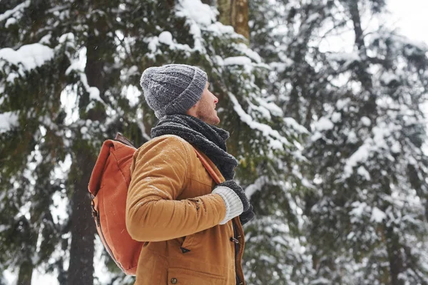 Content Inspired Handsome Young Man Warm Hat Scarf Traveling Alone — Stock Photo, Image