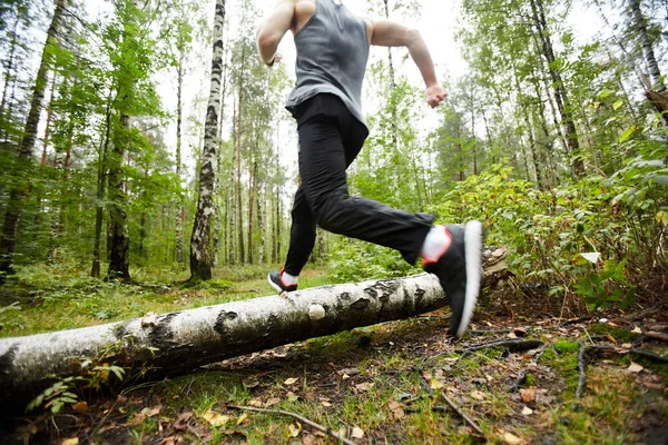 Nuori Aktiivinen Mies Juoksee Koivun Halki Metsäpolulla Aamuharjoittelun Aikana — kuvapankkivalokuva